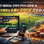 전 세계 리그 축구배팅 배당률 비교