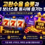 몰입감 높은 라이브 딜러 콘텐츠로 주목받는 인기 카지노 플랫폼