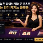 최신 보안 기술로 완성된 프리미엄 온라인 카지노 경험이 주목받는 이유
