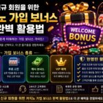 해외 배팅사이트가 2026년에도 인기 있는 이유
