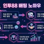 인투88 회원 관리의 중요성과 활용 방법